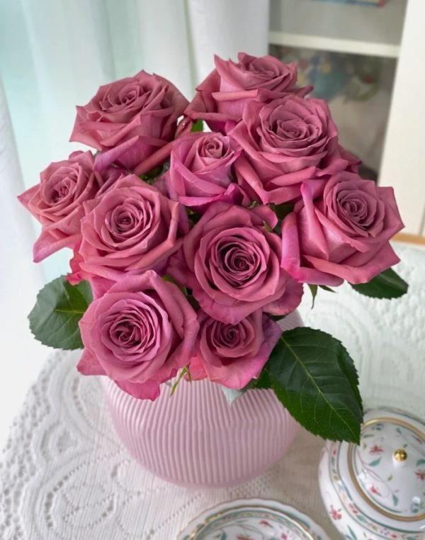 Barista Rose丨Your roses