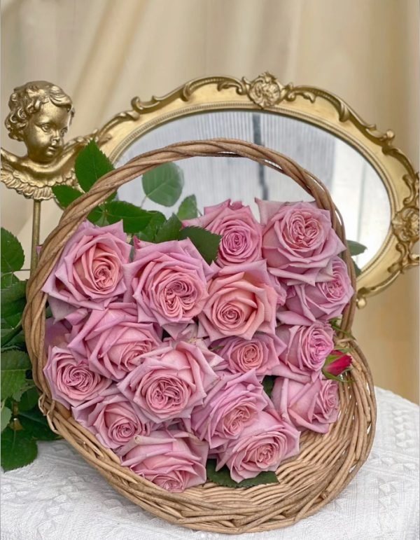 Barista Rose for sale丨Your roses
