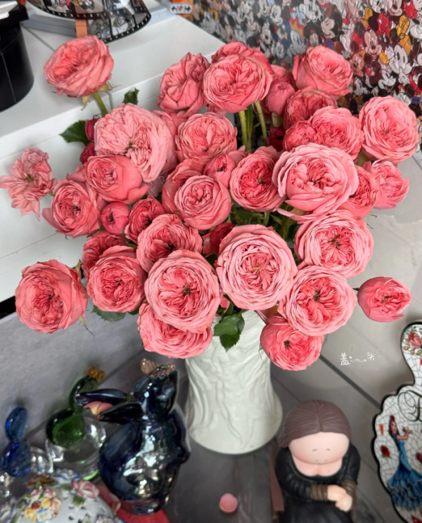 Bella Trendsetter Rose丨Your roses