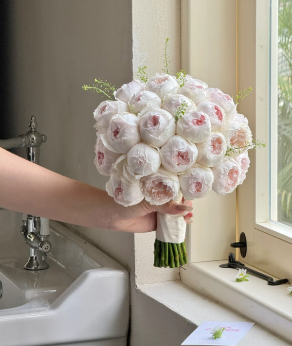 Cocotte Rose for sale丨Your roses