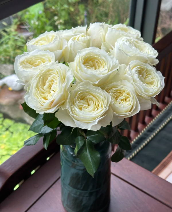 Coldplay Rose for sale丨Your roses