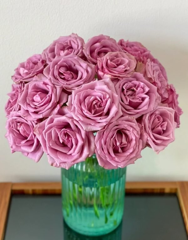 Rose Cool Water丨Your roses