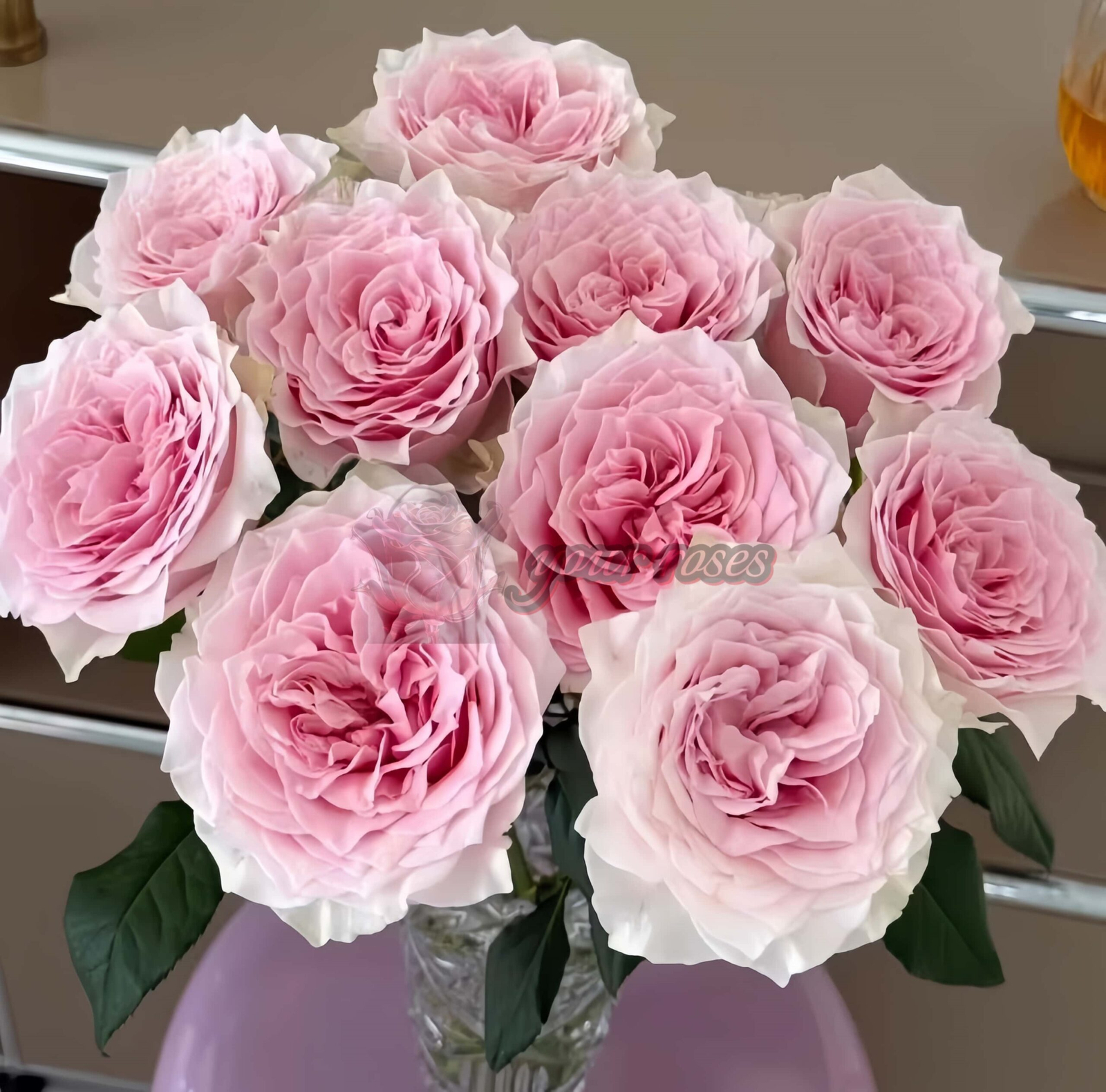 Country Spirit Peonia Rose丨Your roses