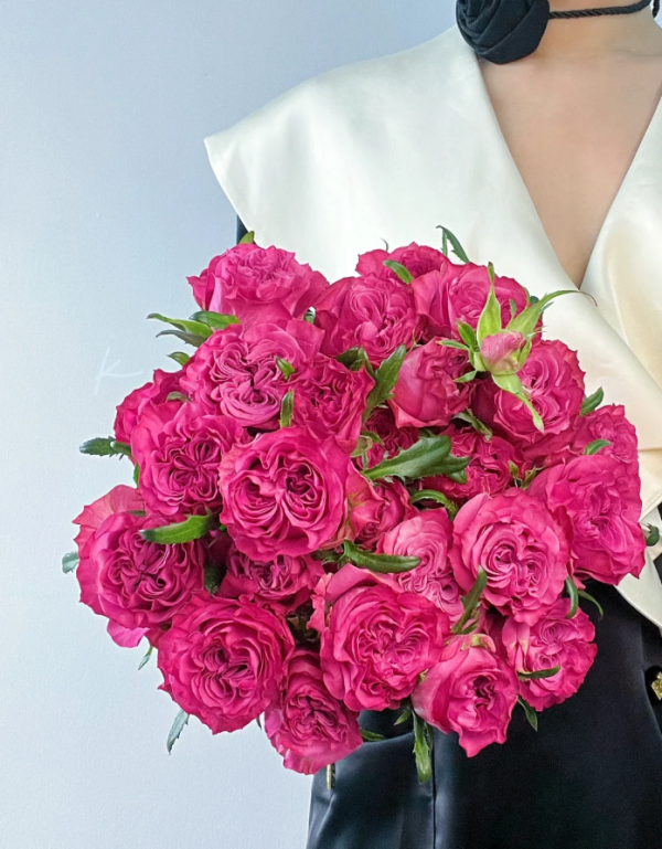 Rose Country Spirit Blue丨Your roses