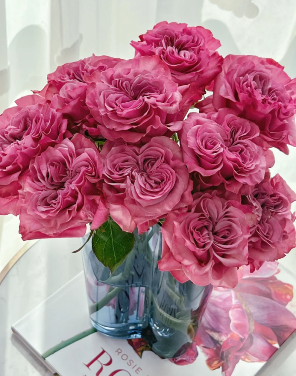 Country Spirit Blue Rose丨Your roses