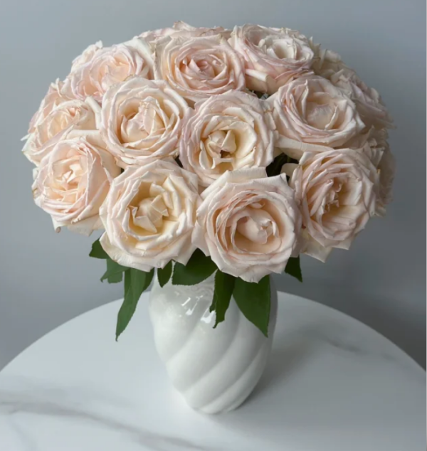 Kaoruno Rose丨Your roses