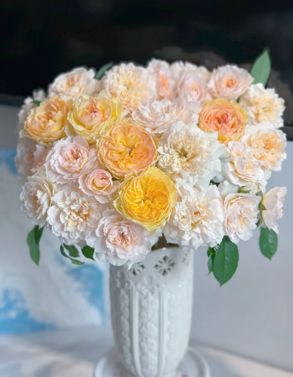 Marc-Antoine Charpentier Roses丨Your roses