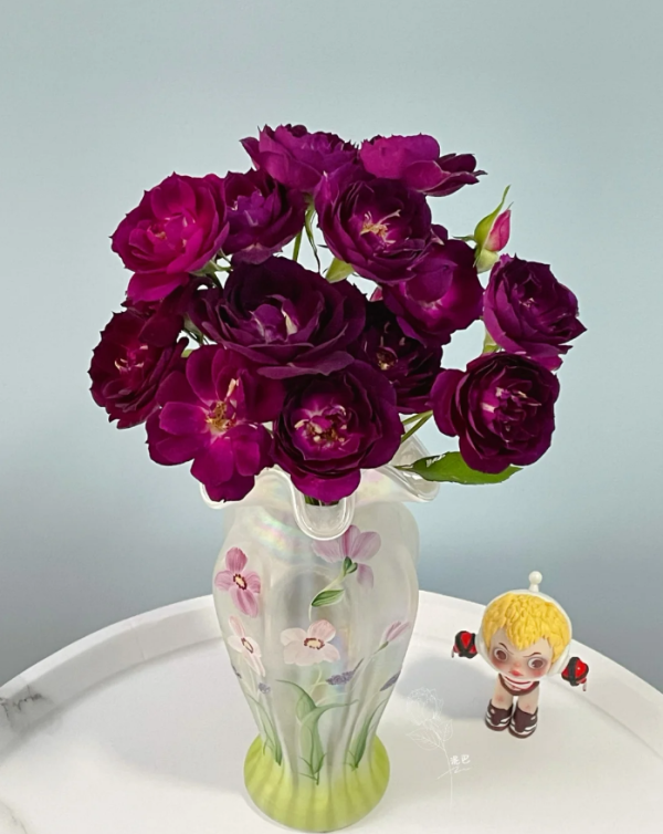 Midnight Blue Rose 丨Your roses