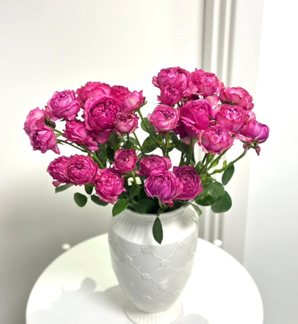 Misty Bubbles Rose for sale丨Your roses