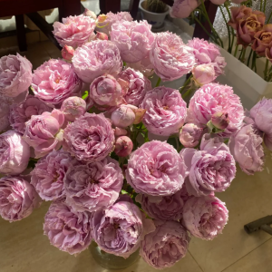 Monarome Rose丨Your roses