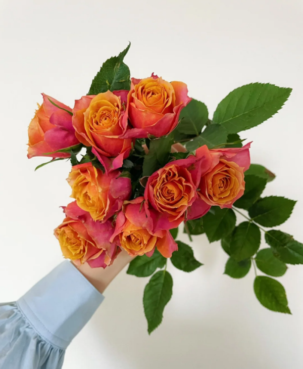 Napoli Forever Rose丨Your roses