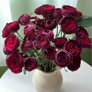 Red Lace Rose丨Your roses