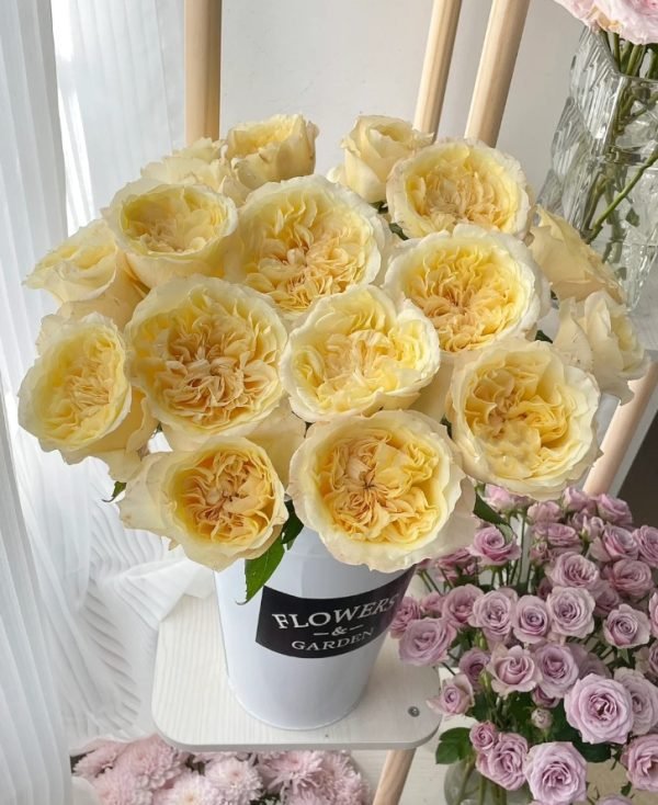 Souffle Rose for sale丨Your roses