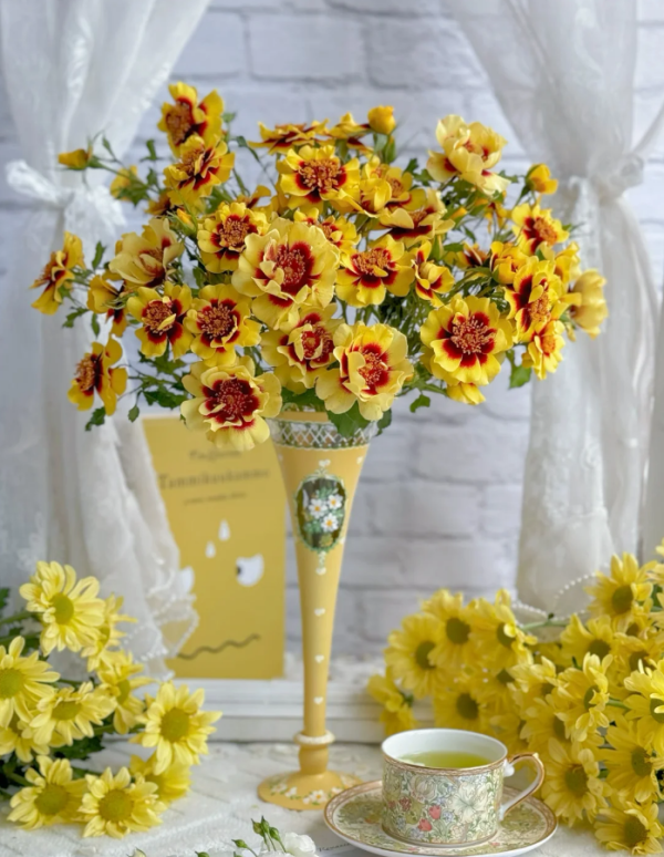 Sunset Babylon Eye Rose Plant丨Your roses