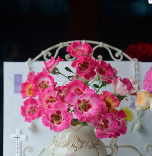 Sunshine Babylon Eyes Roses丨Your roses
