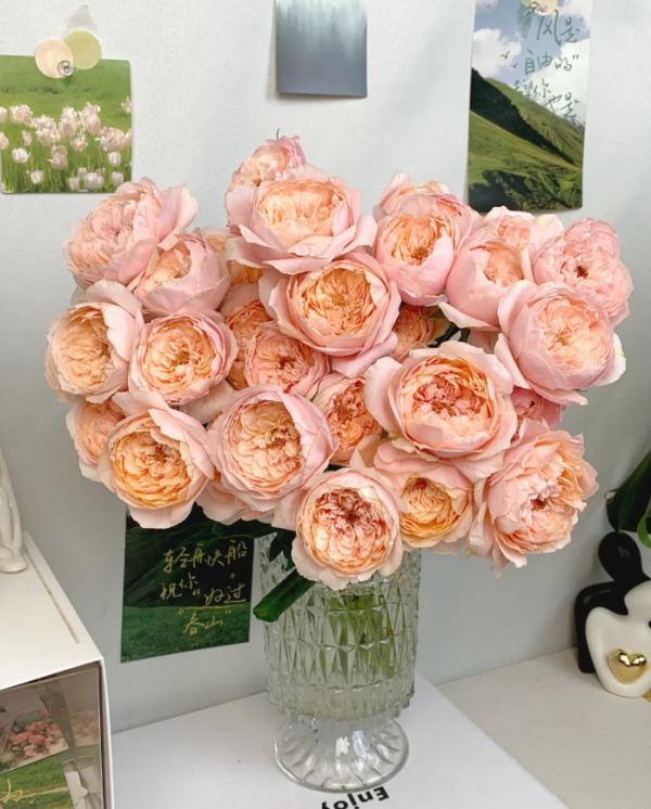 Tsumugi-ulala Roses丨Your roses