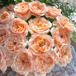 Tsumugi-ulala Rose丨Your roses