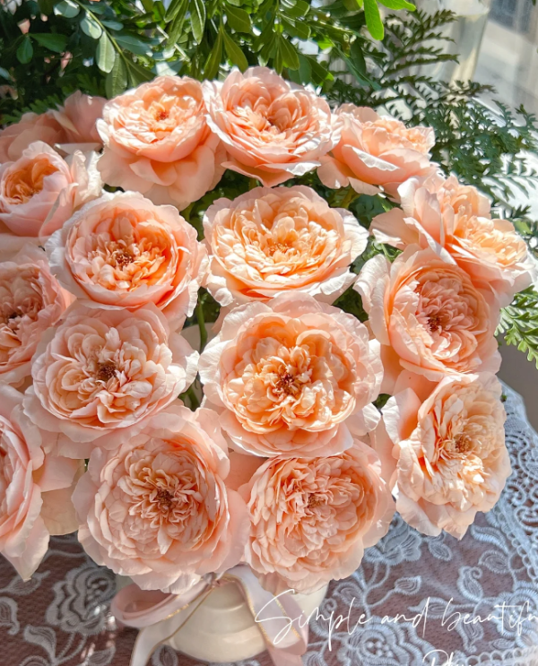 Tsumugi-ulala Rose丨Your roses
