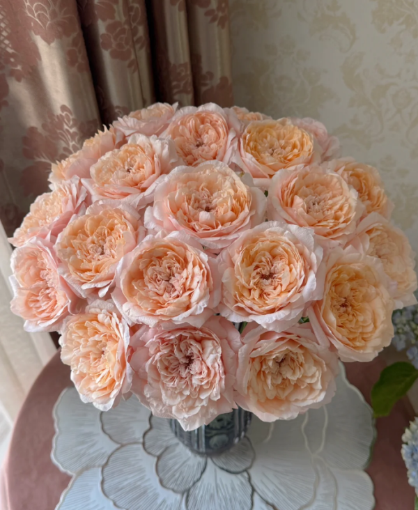 Rose Tsumugi-ulala丨Your roses