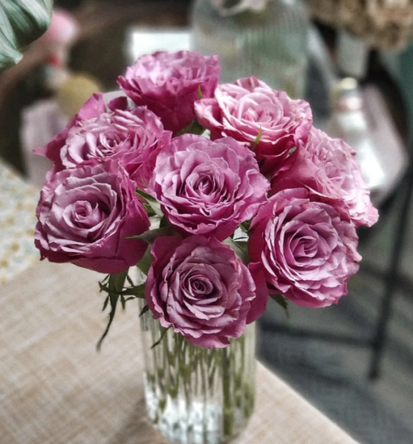 Magic Silver Rose for sale丨Your roses