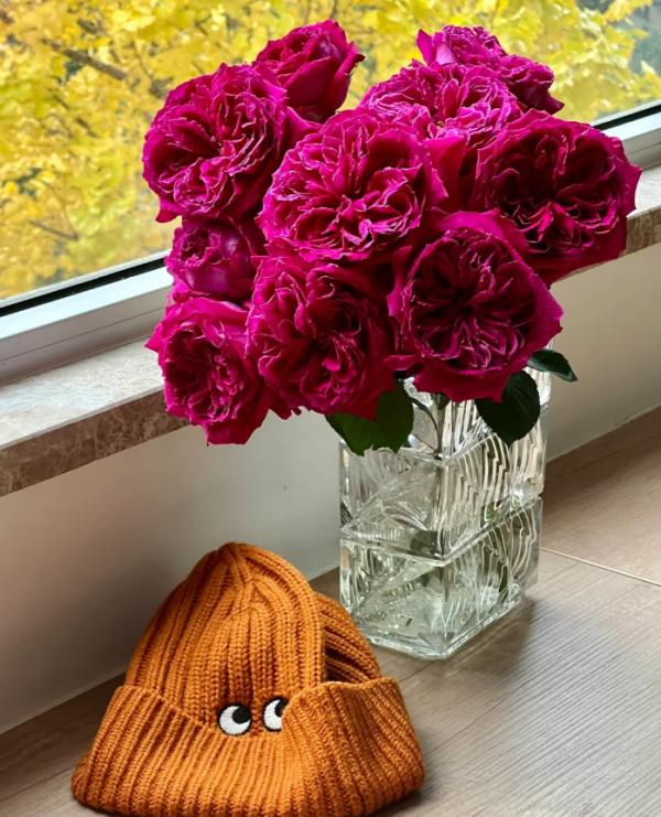Yu Ji Rose for sale丨Your roses