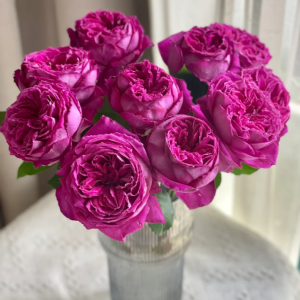 Yu Ji Rose丨Your roses