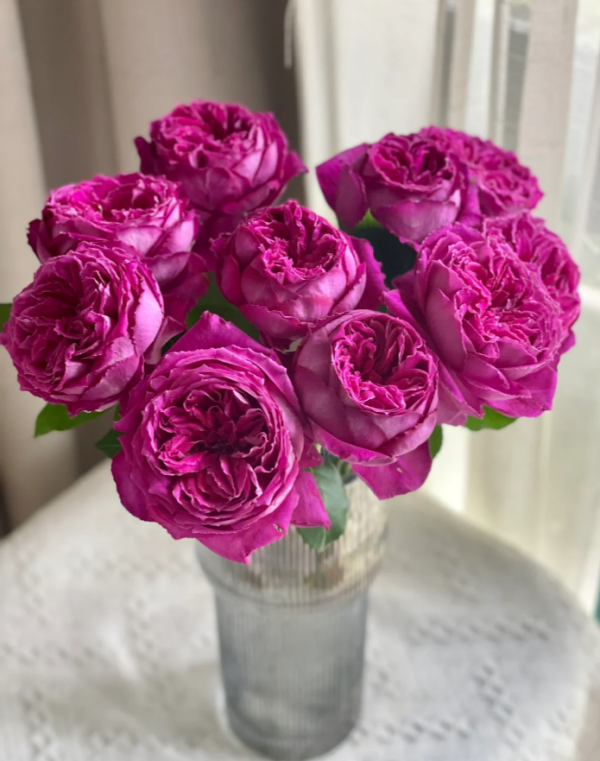 Yu Ji Rose丨Your roses