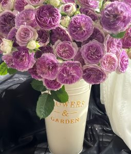 Blue Moon Stone Rose丨Your roses