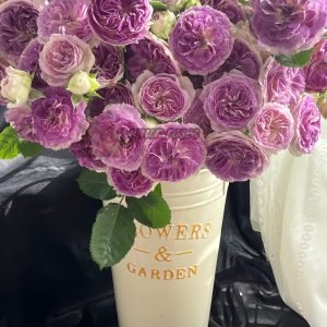 Blue Moon Stone Rose丨Your roses