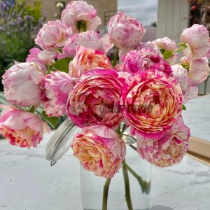 Édouard Manet Rose丨Your roses