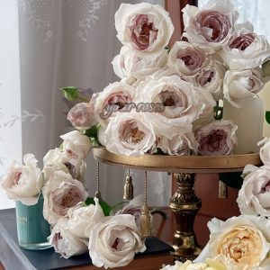 Milk pearl Rose丨Your roses