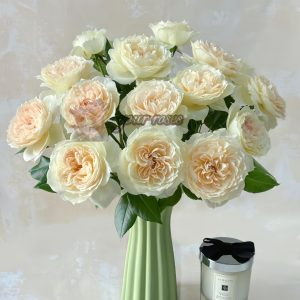 Opera queen Rose丨Your roses