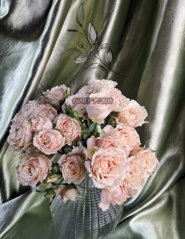 Saraha sensation Rose for sale丨Your roses