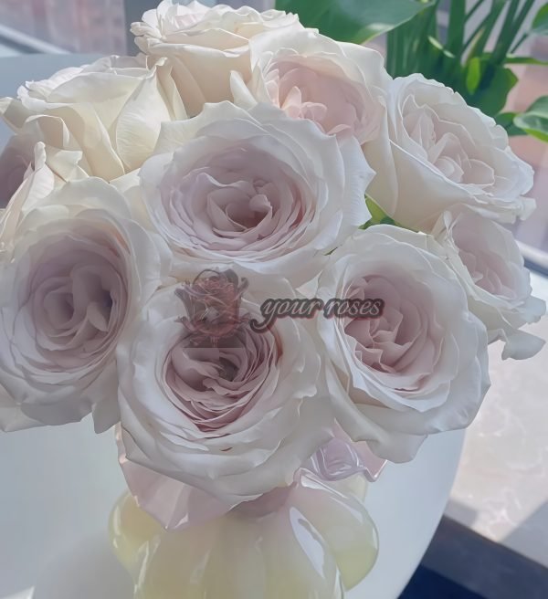 Silver Lining Rose丨Your roses
