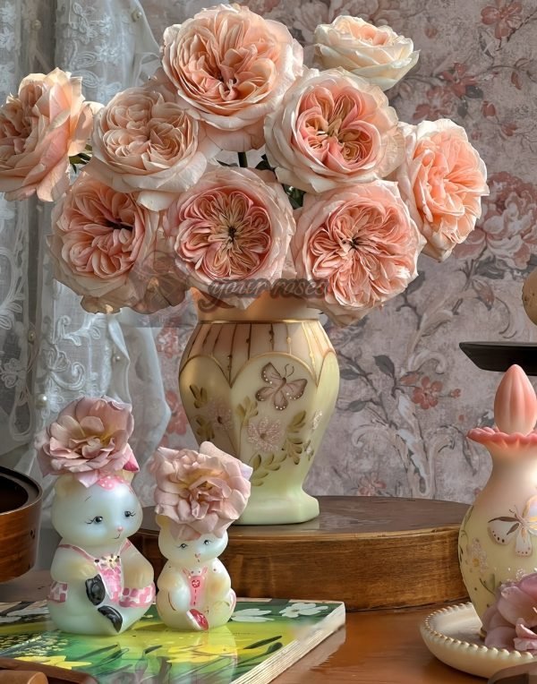 Spring confession Rose丨Your roses