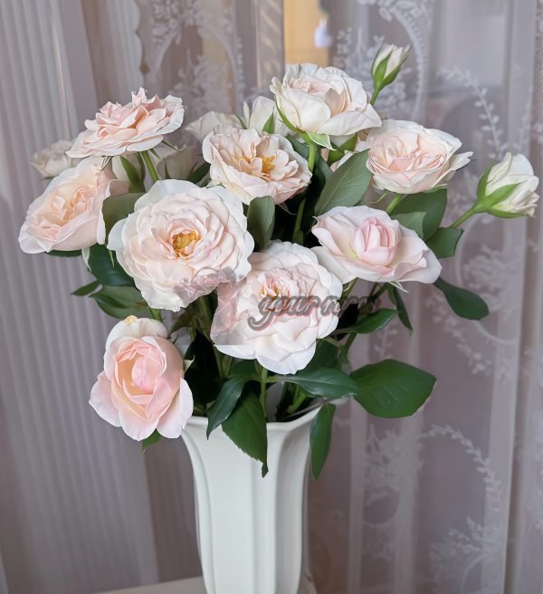 English Miss Rose for sale丨Your roses