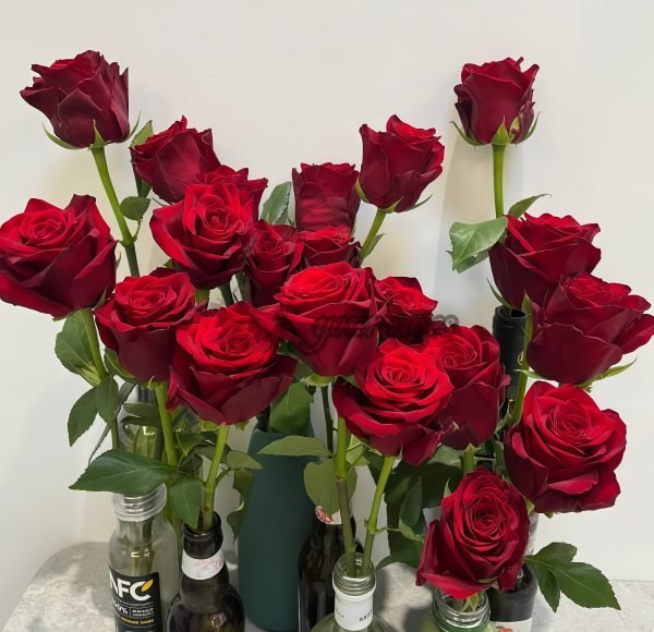 Explorer Rose丨Your roses