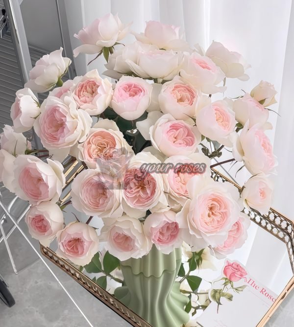 Pretty Yuto Rose丨Your roses