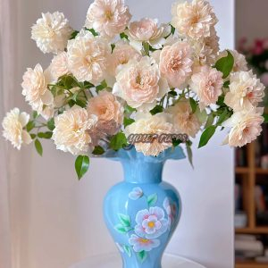 Royal Diva Rose for sale丨Your roses