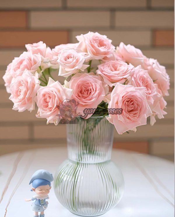 Sweet Sara Rose丨Your roses