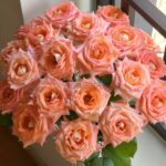 Autumn Evening Rose for sale丨Your roses
