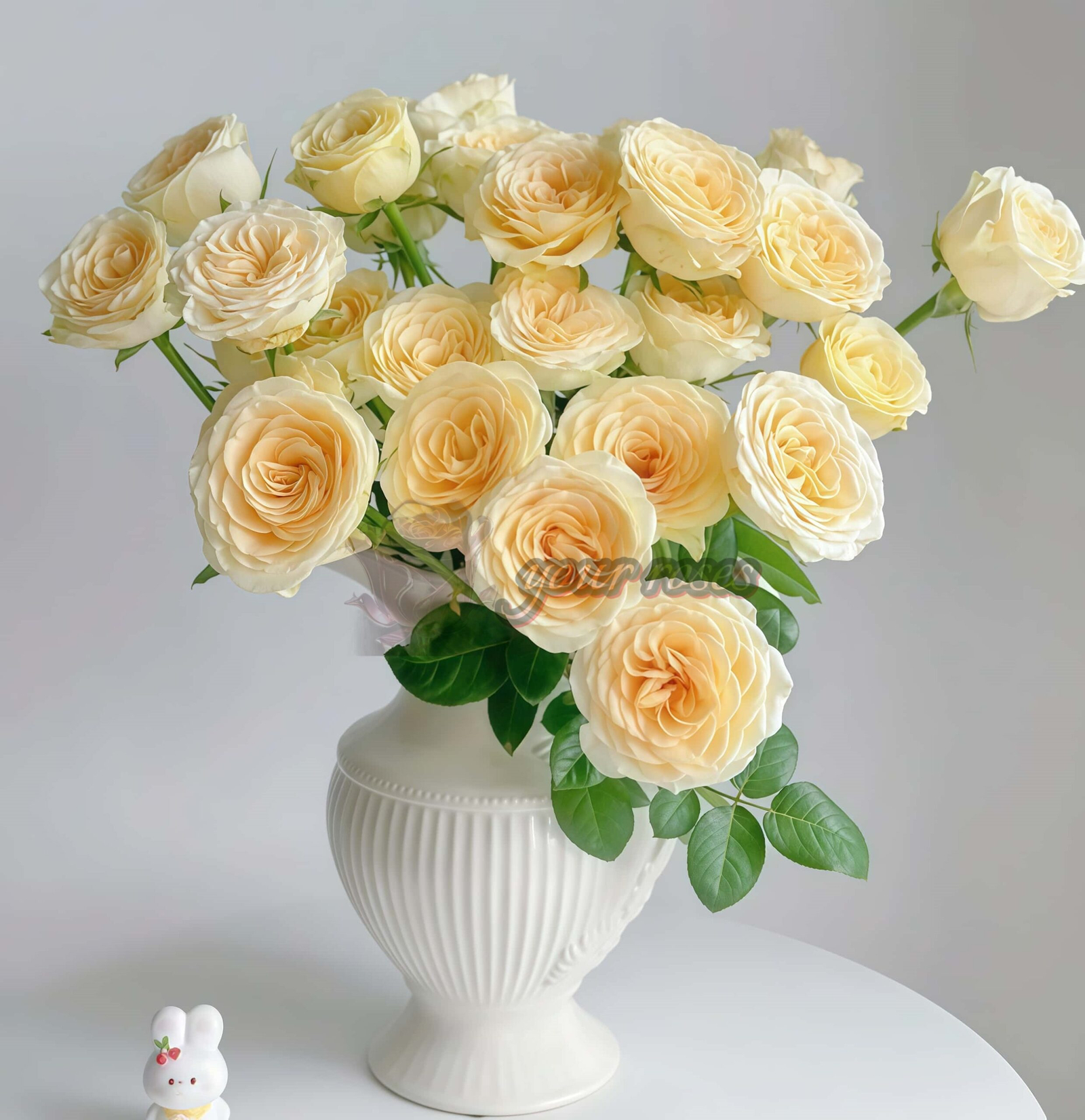 Buttercup Rose for sale丨Your roses