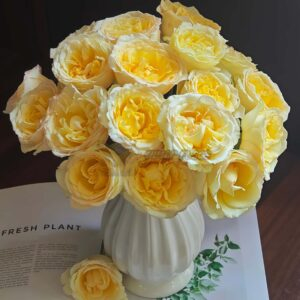 Liuxinsu Rose丨Your roses