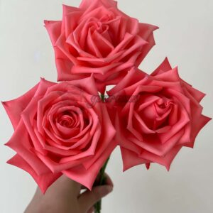 Movie Star Rose for sale丨Your roses