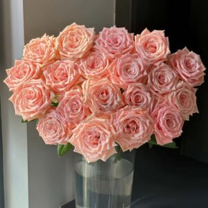 Almond Milk Candy Rose plant丨Your roses