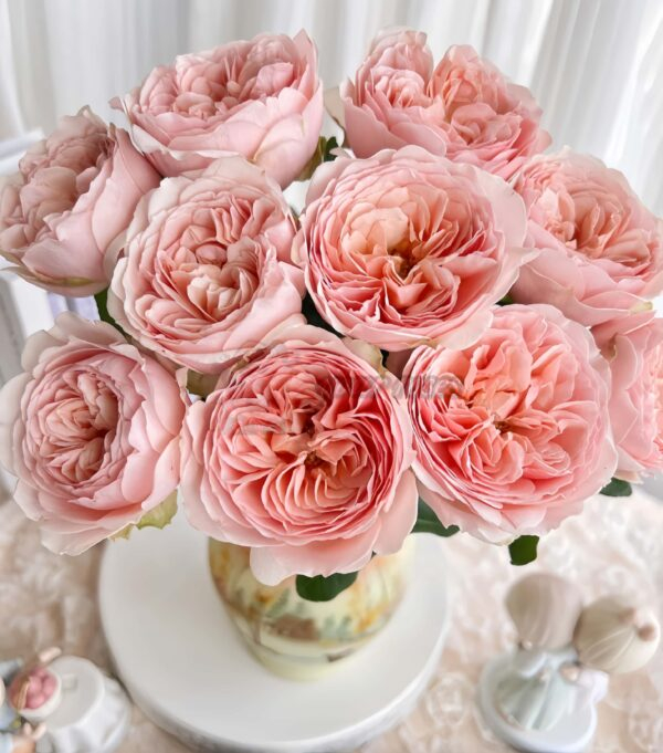 Celebretini Rose丨Your roses