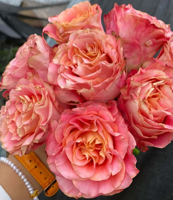 Jiera Rose丨Your roses
