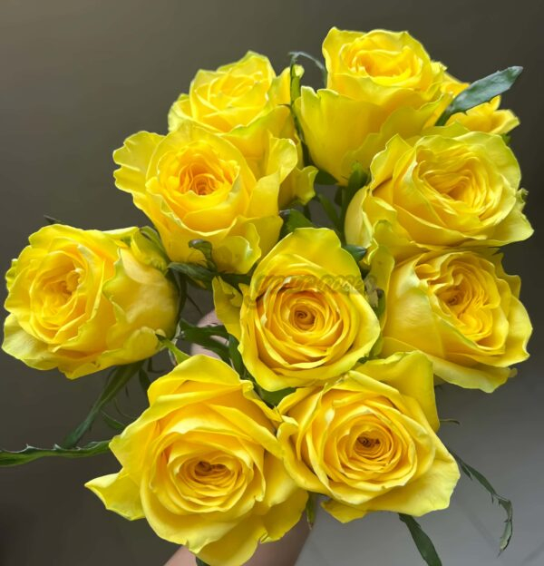 Moonwalk Rose丨Your roses
