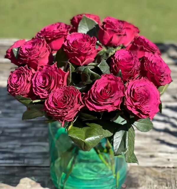Venturoso Rose丨Your roses