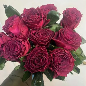 Venturoso Rose丨Your roses